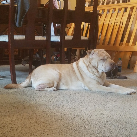 ✌♥🇺🇸♥🇺🇸♥🇺🇸♥✌ - Picture 6 of 14